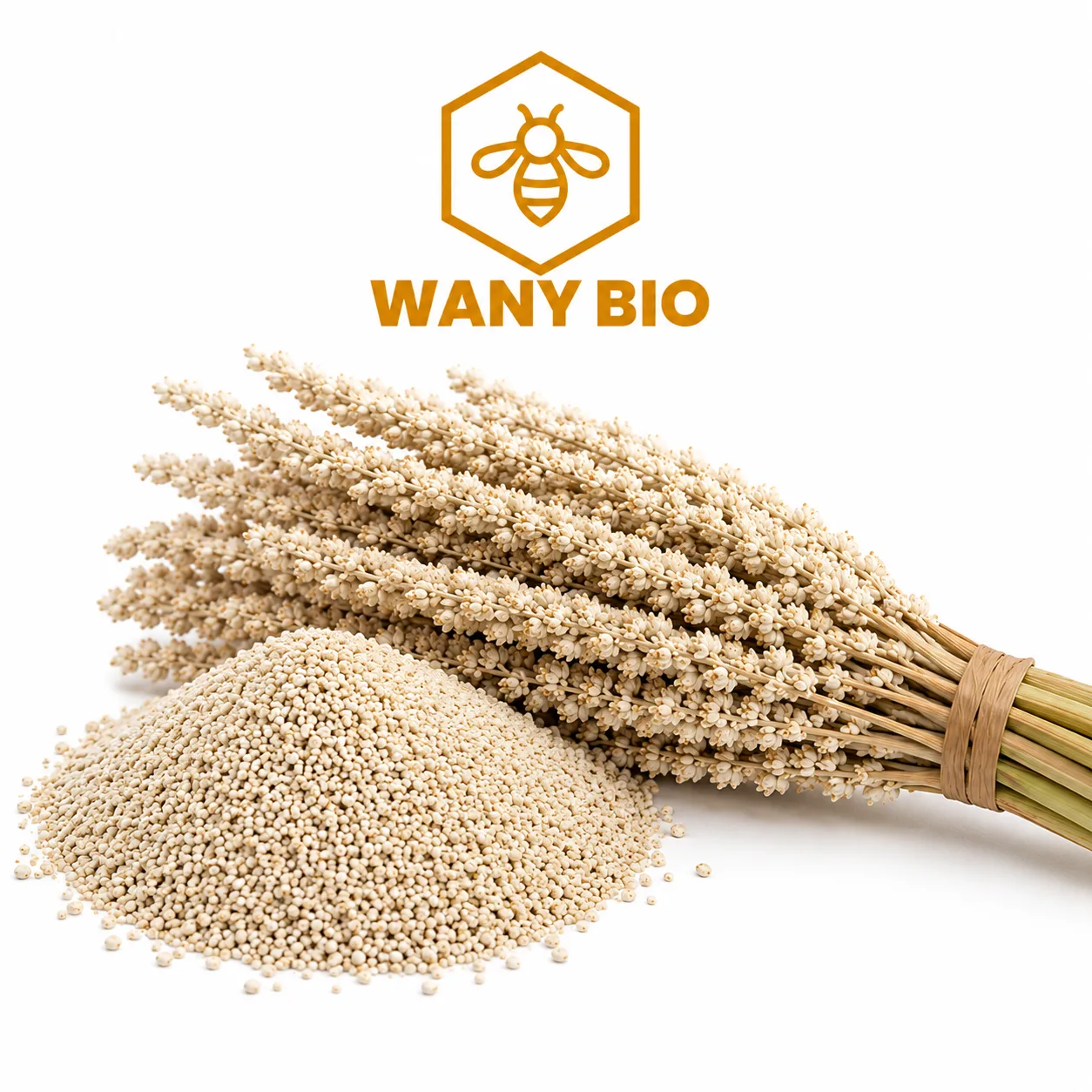 POLLEN DE PALMIER - طلع النخيل - Miel naturel - Wany Bio