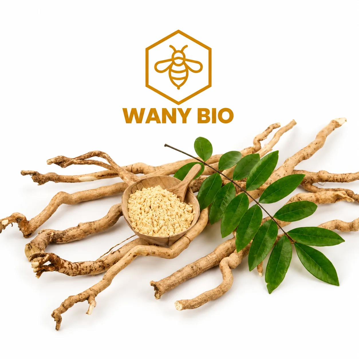 Tongkat ali - عصا علي - Miel naturel - Wany Bio
