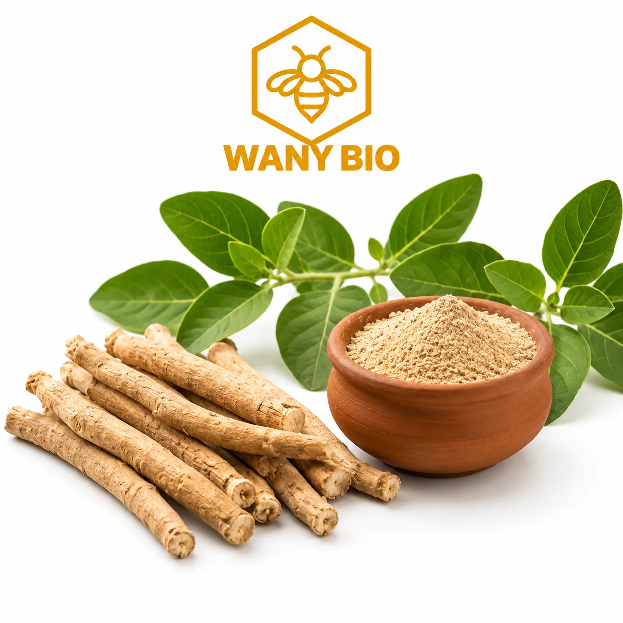 ASHWAGANDHA - الأشواكندا - Miel naturel - Wany Bio